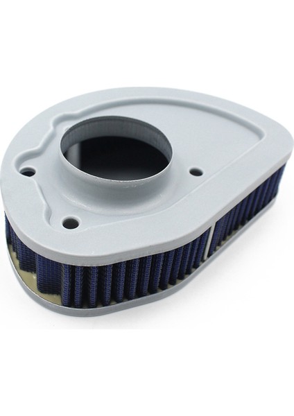 Hava Filtresi Hava Temizleyici Harley Flstfı Flhtcu Flhtcuse Flhtı Flhtp Flhx Flhxı Fls Flst Electra Glide 29461-99 2940004 (Yurt Dışından) indirimleri