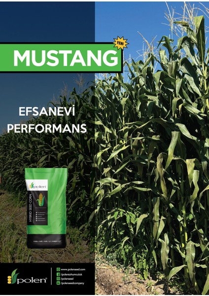 Mustang Silajlık Mısır Tohumu (90 Günlük 50.000 Adet)