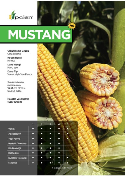 Mustang Silajlık Mısır Tohumu (90 Günlük 50.000 Adet) fiyatları