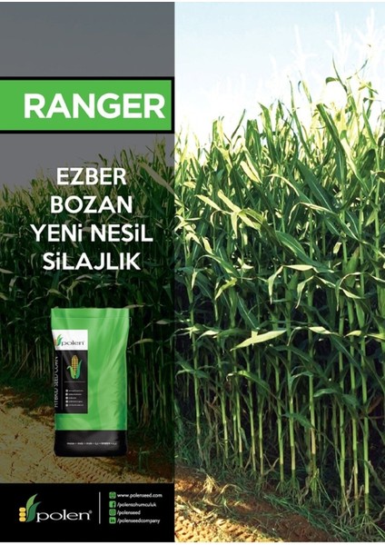 Mustang Silajlık Mısır Tohumu (90 Günlük 50.000 Adet) modelleri