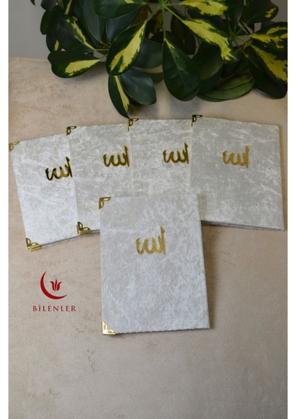Kadife Kapaklı Allah Lafızlı 20 Adet Ekonomik Yasin Kitabı - 12X17 Cm, 80 Sayfa