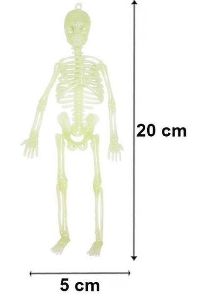 Cadılar Bayramı Fosforlu Iskelet Asılabilir Halloween Parti Dekoru 20 cm fiyatları