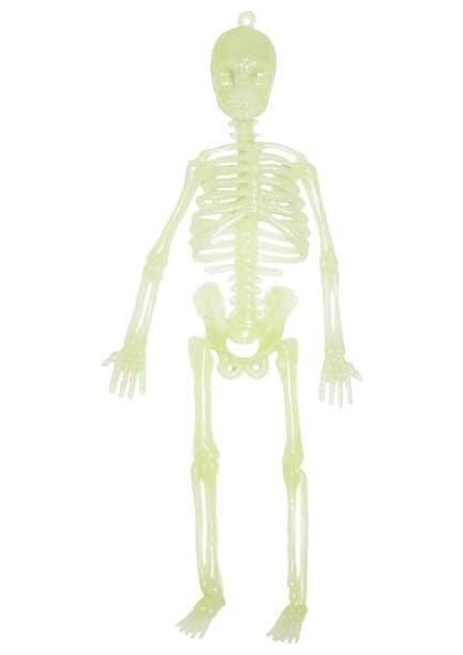 Cadılar Bayramı Fosforlu Iskelet Asılabilir Halloween Parti Dekoru 20 cm modelleri