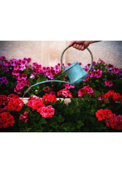 Bakır Sulak Küçük Model Yeşil Oksit Renk fiyatları