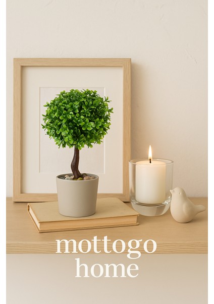 Dekoratif Şimşir Yapay Bitki | Tek Adet