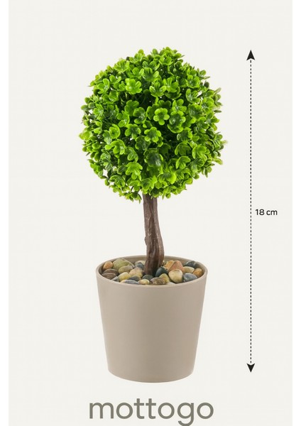 Dekoratif Şimşir Yapay Bitki | Tek Adet modelleri