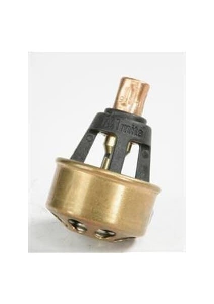 -04709081 - Termostat 86°c R9