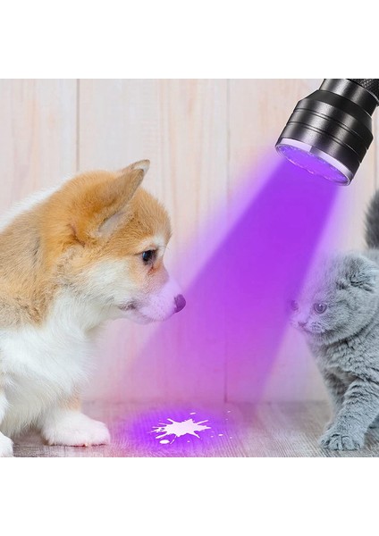Hyqzltca 2x Uv Siyah Işık El Feneri 21 LED El Feneri Dedektörü Köpek Evcil Hayvan Idrar El Uv Siyah Işıklı Fener Lekeler Için (Yurt Dışından) modelleri