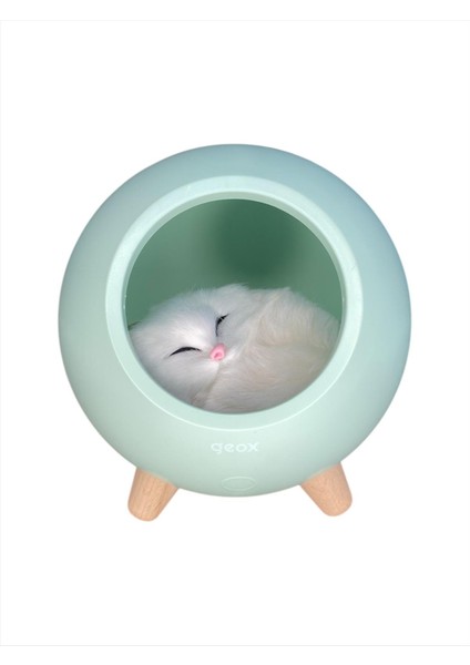 Şarjlı Edilebilir Dekoratif Masa Lambası Kedili Ahşap fiyatları