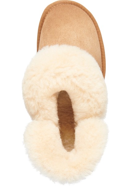 Australia Platinum Mintaro Kadın Siyah Bot modelleri