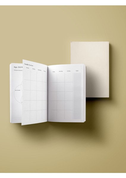 Daily Planner - A5 Süresiz Aylık, Haftalık ve Günlük Planlayıcı - Krem fiyatları