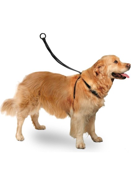 Easy Walker Göğüs Tasma 40*58 cm Large fiyatları