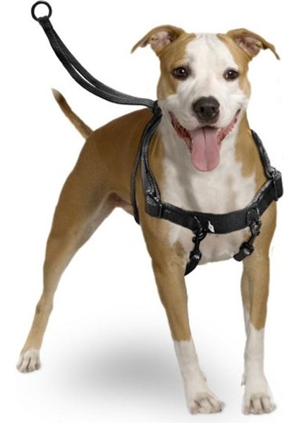 Easy Walker Göğüs Tasma 40*58 cm Large fırsatları