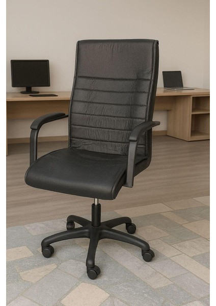 Staryo Yönetici Koltuğu – Ergonomik Bel Destekli, Ayarlanabilir Yükseklikli, Sessiz Tekerlekli