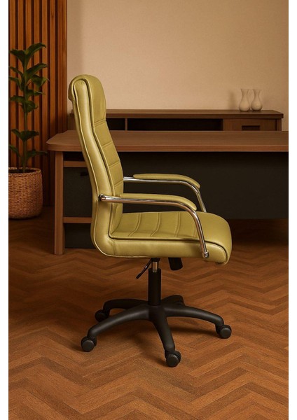 Staryo Yeşil Bilgisayar Koltuğu – Ergonomik Bel Destekli, Ayarlanabilir Yükseklikli fiyatları