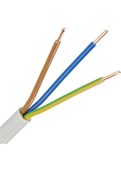 Has Nym Antigon Bakır Enerji Kablosu 3x2,5 50 Metre fiyatları