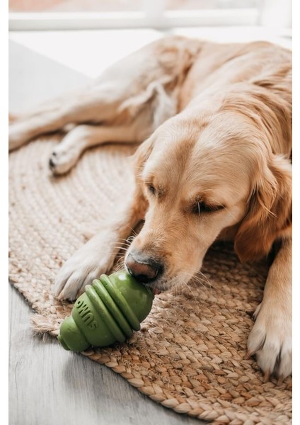 Beeztees Sumo Dayanıklı Dental Oyuncak M Yeşil fiyatları
