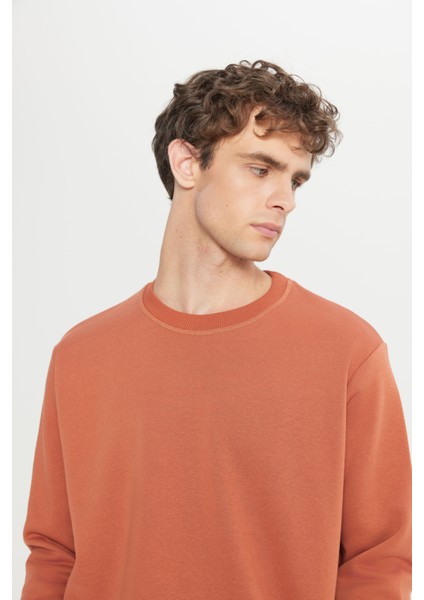 Erkek Açık Kahve Standart Fit Normal Kesim Içi Polarlı 3 Iplik Bisiklet Yaka Sweatshirt fırsatları