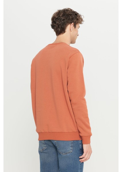 Erkek Açık Kahve Standart Fit Normal Kesim Içi Polarlı 3 Iplik Bisiklet Yaka Sweatshirt indirimleri