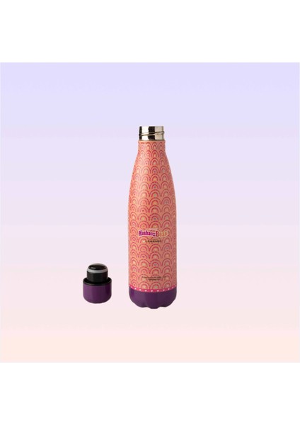 Maşa ile Koca Ayı Desenli Termos Matara modelleri