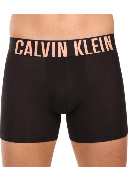 Calvın Kleın Erkek 3 Lü Boxer NB3609A-VVN fiyatları