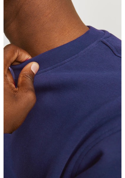 Originals Jorvesterbro Bisiklet Yaka Relaxed Fit Sweat Erkek Sweat 12241694 modelleri