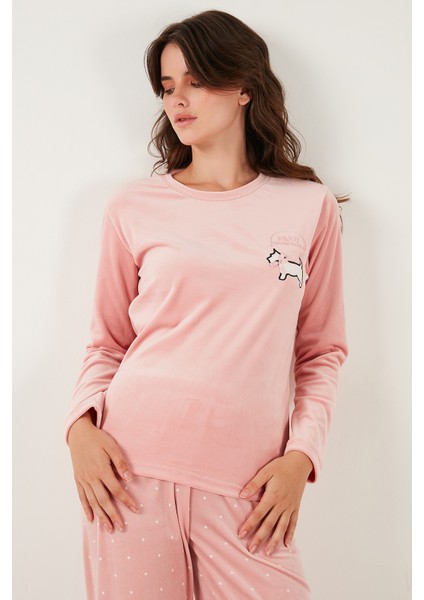 Desenli Regular Fit Bisiklet Yaka Uzun Kollu Pijama Takımı Bayan Pijama Takımı 65713312