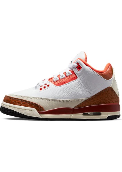 Air Jordan 3 DV7028-108