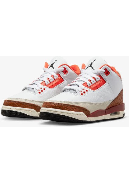 Air Jordan 3 DV7028-108 fiyatları