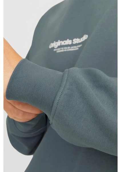 Originals Jorvesterbro Bisiklet Yaka Relaxed Fit Sweat Erkek Sweat 12241694 modelleri