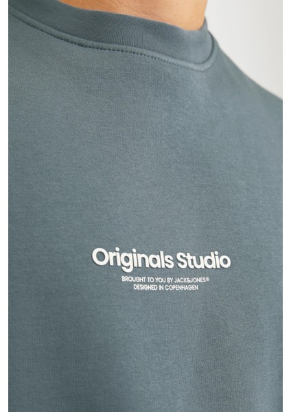 Originals Jorvesterbro Bisiklet Yaka Relaxed Fit Sweat Erkek Sweat 12241694 fırsatları