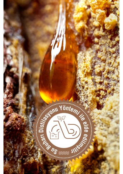 Çam Terebentin Yağı 50 ml fiyatları