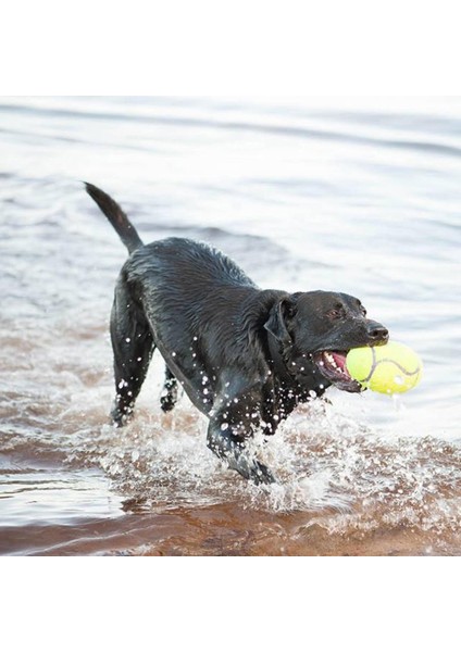 Kong AirDog Amerikan Futbol Topu Şeklinde Köpek Oyuncağı S fiyatları