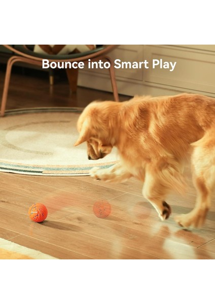 Akıllı İnteraktif Köpek Oyuncağı, Turuncu 7 X 7 X 7 Cm fırsatları