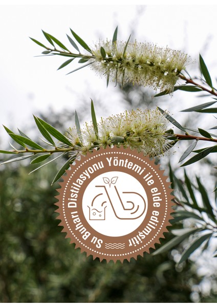 Çay Ağacı Yağı 10ml %100 Saf ve Doğal Tea Tree fiyatları