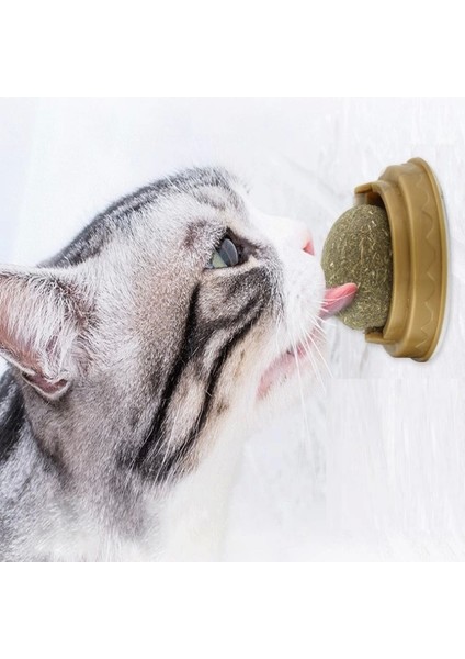 Kedi Otu Oyun Topu fiyatları