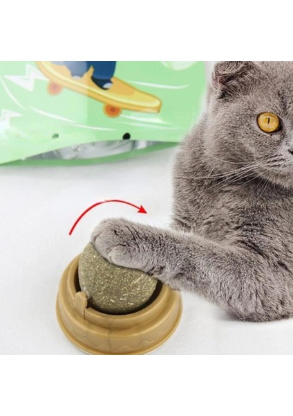 Kedi Otu Oyun Topu modelleri