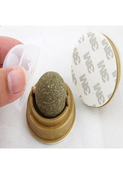 Kedi Otu Oyun Topu fırsatları