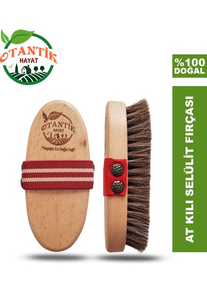 At Kılı Fırçası