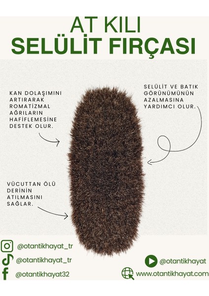 At Kılı Fırçası fiyatları