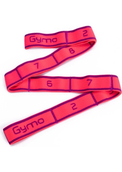 Pro Series Numaralı Junior Direnç Bandı