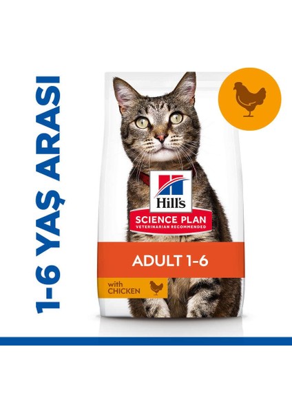 Adult Tavuk Etli Yetişkin Kedi Maması 3 kg