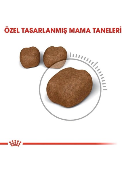 Dental Care Kedi Maması 1,5 Kg