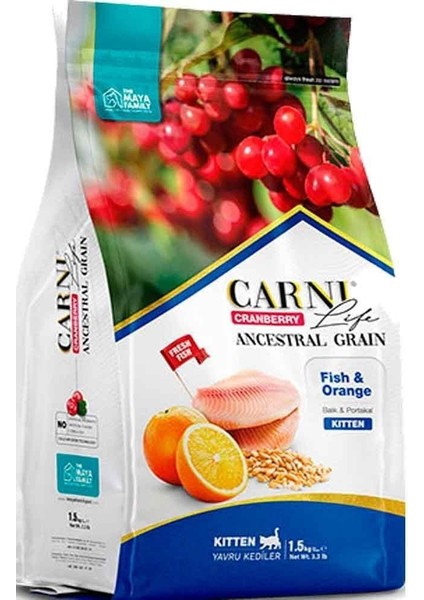Life Cranberry Ancestral Grain Kedi Balık & Portakal Kitten 1,5 Kg