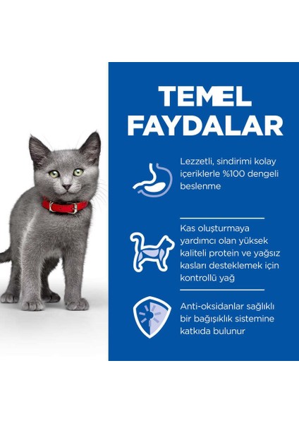 Kitten Sterilsed Yavru Kısır Kedi Maması 10 Kg fırsatları