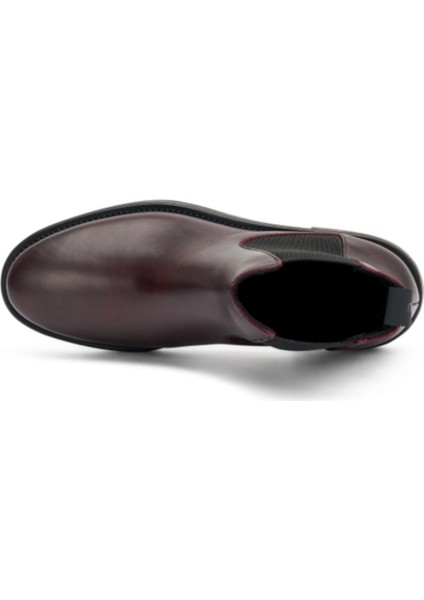 Kadın Bot 98L3 Frau Seta Ankle Boot Bordeaux fırsatları