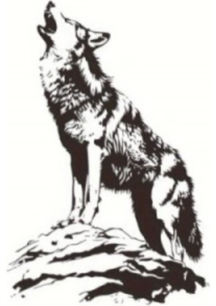 Uluyan Bozkurt Oto Kaput Sticker 40 x 60 cm fiyatları