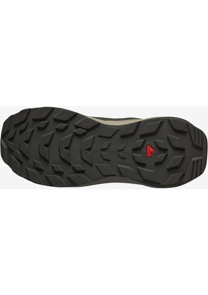 ELIXIR GORE-TEX Erkek Outdoor Ayakkabı Peat L47697400