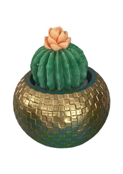 Dekoratif Piksel Yavruağzı Çiçekli Yapay Sukulent Saksı & Aksesuar Saklama Alanı modelleri