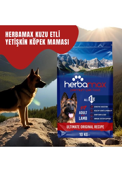 Kuzu Etli ve Pirinçli Yetişkin Köpek Maması 20KG (2X10KG)